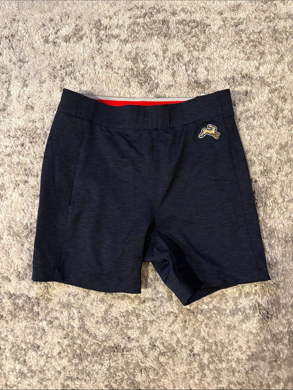 Tracksmith Navy shorts